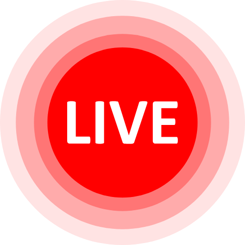 Bj Webcam